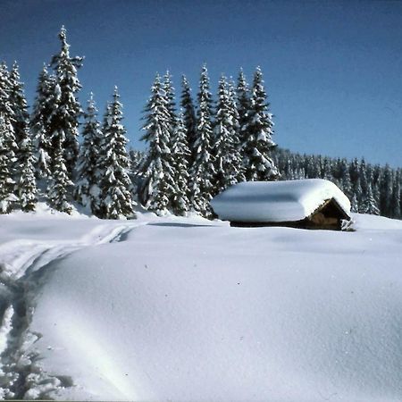 Appartement Ferienhaus Beim Veitele à Mittenwald Extérieur photo