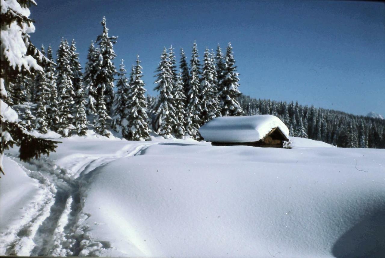 Appartement Ferienhaus Beim Veitele à Mittenwald Extérieur photo